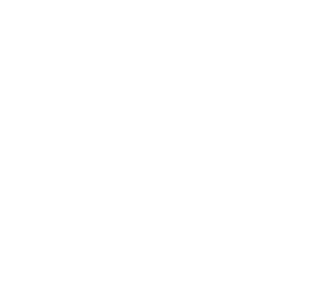Diesel Brothers