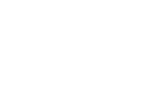 ECUzone